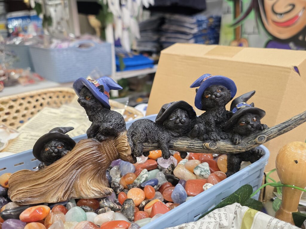 Gatitos sobre escoba