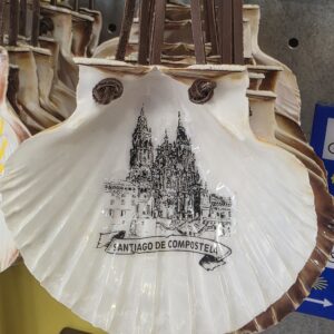 Concha Catedral