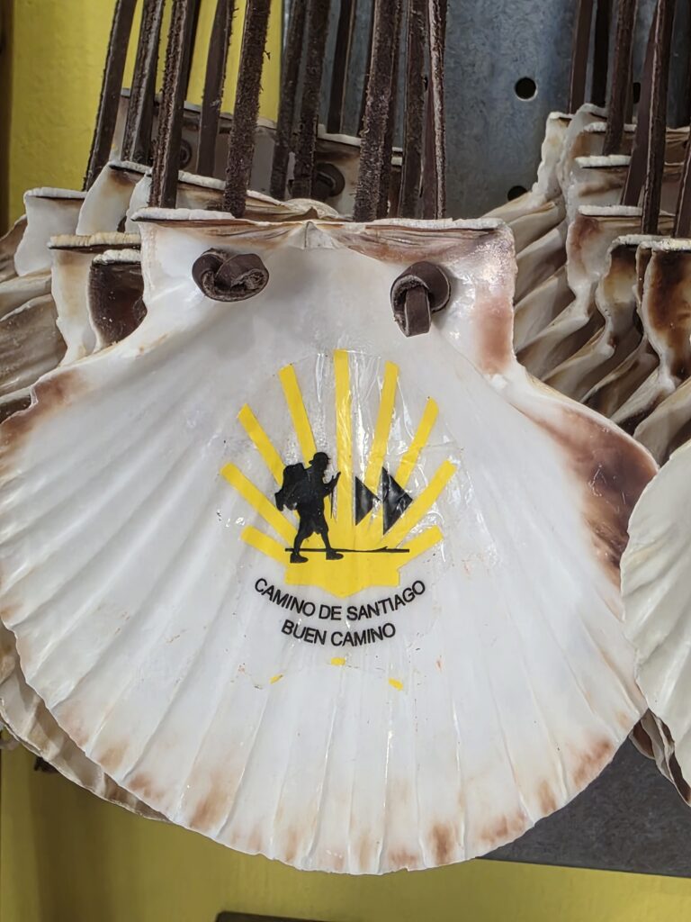 Concha Silueta