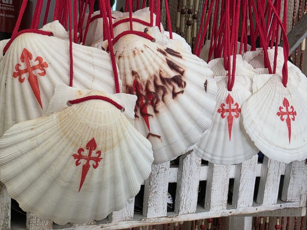 Conchas