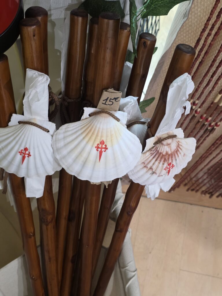Bordón madera de Castaño